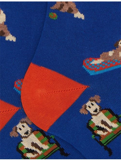 AP51628512693 FANTASIA gallo | AP51628512693 FANTASIA